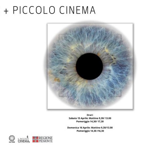 WORKSHOP CON NICOLA PROSATORE: LA REGIA. Film - Documentari - Serie - Visioni