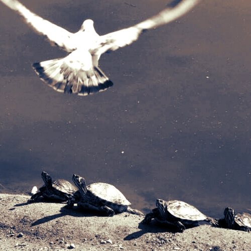 L'incontro: Antiginnastica e Yoga in dialogo