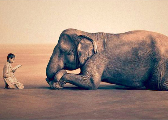 L'audacia della semplicità - Yoga per tutti // ogni Venerdì di Febbraio