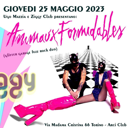 ANIMAUX FORMIDABLES "Party fine tour Indoor"